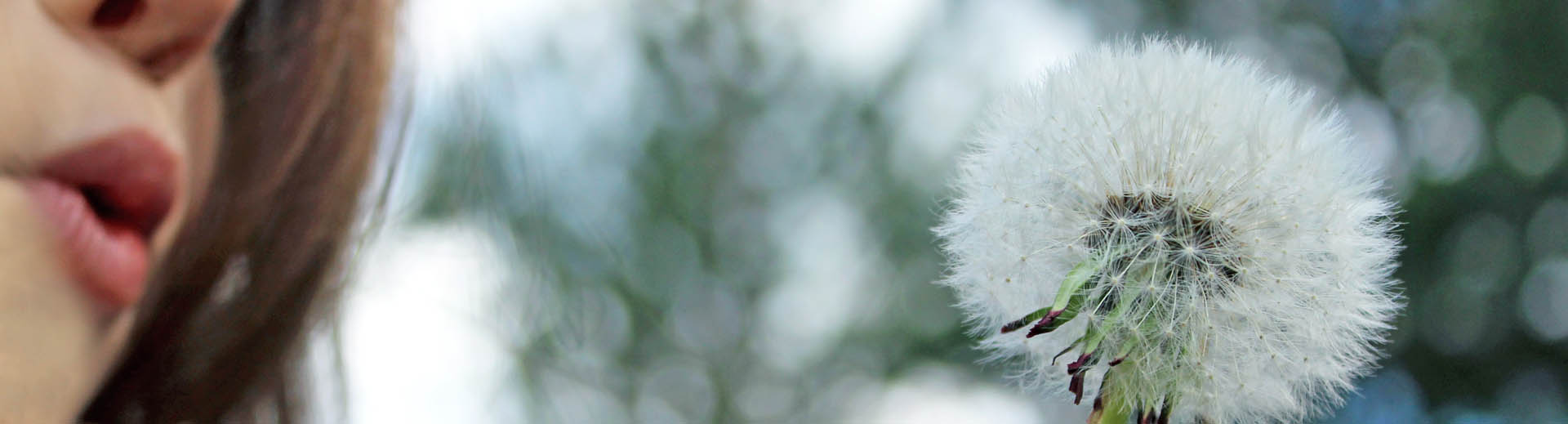 Donna che tiene il dente di leone e soffia