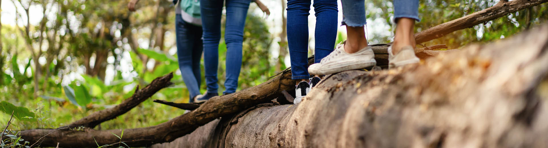 Personen balancieren im Wald über einen Baumstamm 