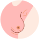 Illustrazione dei linfonodi del seno