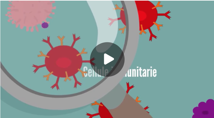 Come funziona la mia immunoterapia nel corpo?