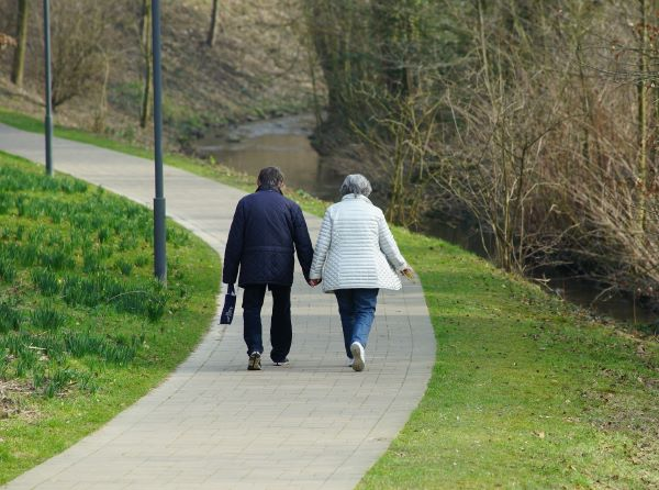 Den Weg weitergehen | Krebs und Verlust - Image