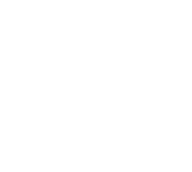 SVA logo