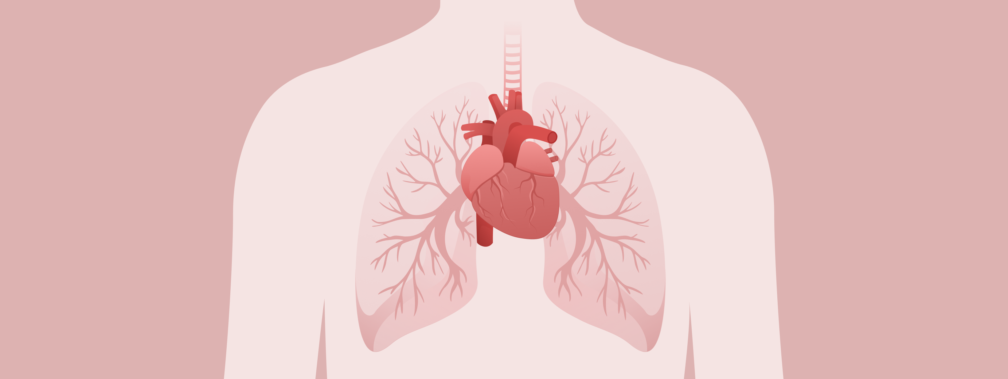 Banner: hypertension pulmonaire