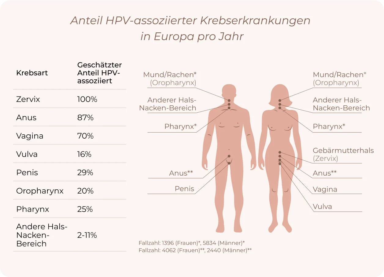 HPV High Risk info