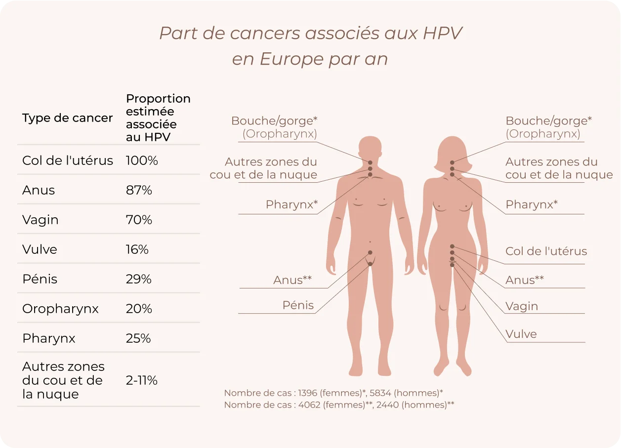 HPV High Risk info