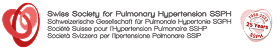 Schweizer website logo