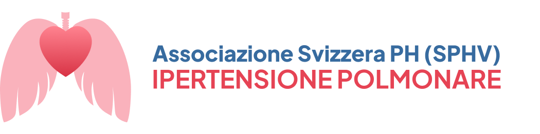 Schweizer website logo