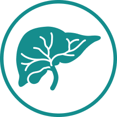 Ikone: Gallenblasen- und Gallengangskrebs