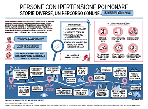 Immagine miniatura – Poster «Di cosa hanno bisogno le persone con IAP»