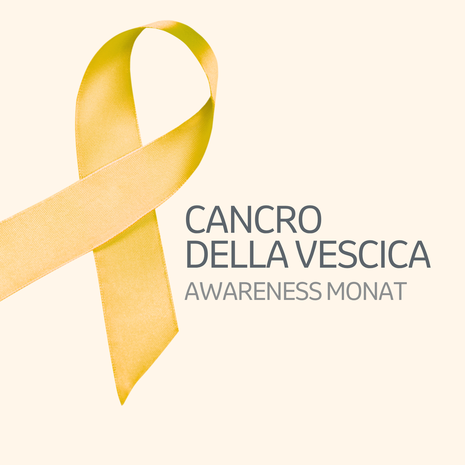 Bladder Cancer Awareness Month
