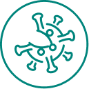 Das Virus im Körper