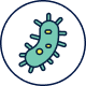 Bakterien