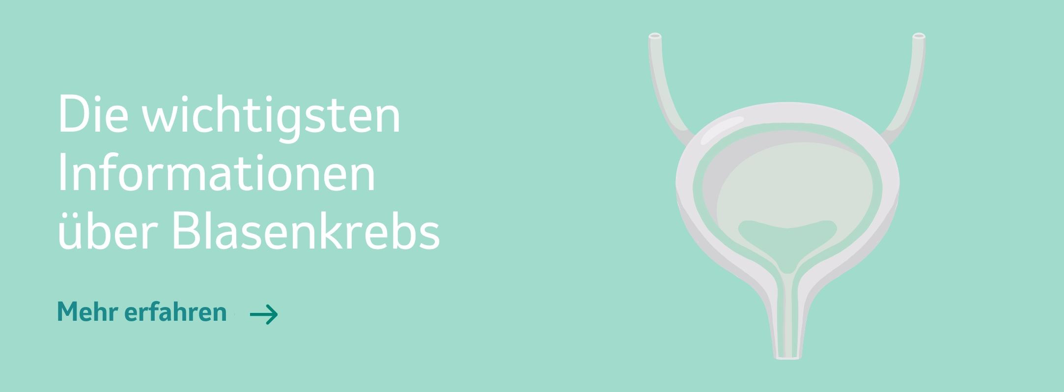 Banner "Die wichtigsten Informationen über Blasenkrebs"
