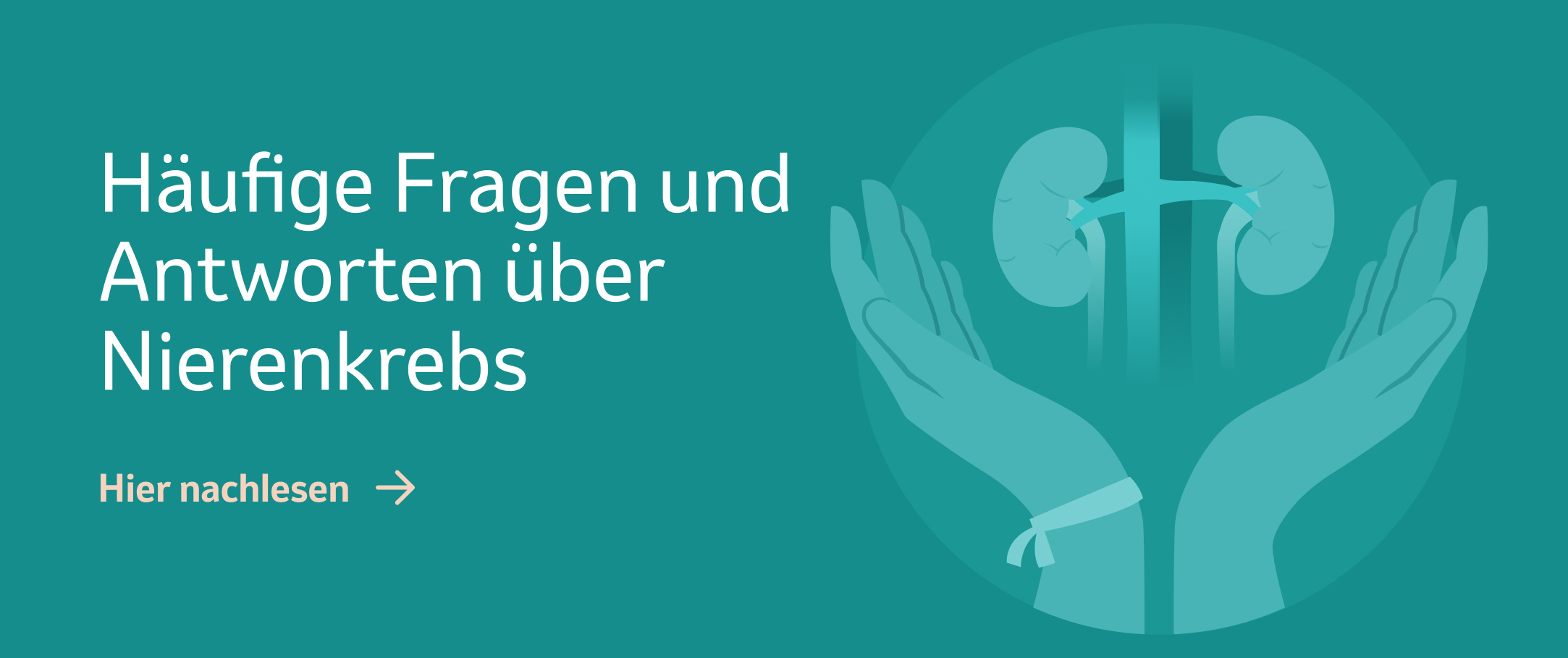 Banner Häufige Fragen zu Nierenkrebs