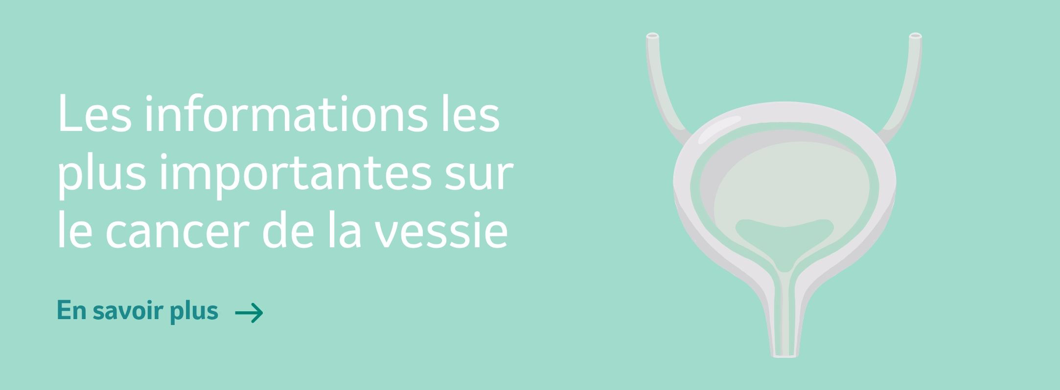 Banner "Les informations les plus importantes sur le cancer de la vessie"