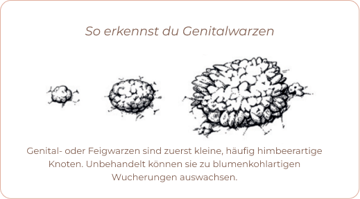 HPV