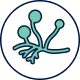 Pilze